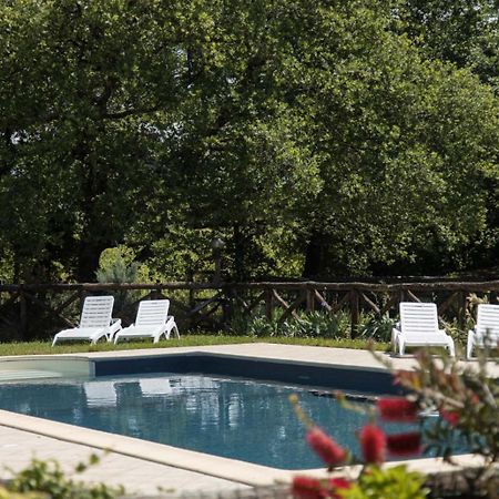 Agriturismo Le Baccane วินชี ภายนอก รูปภาพ