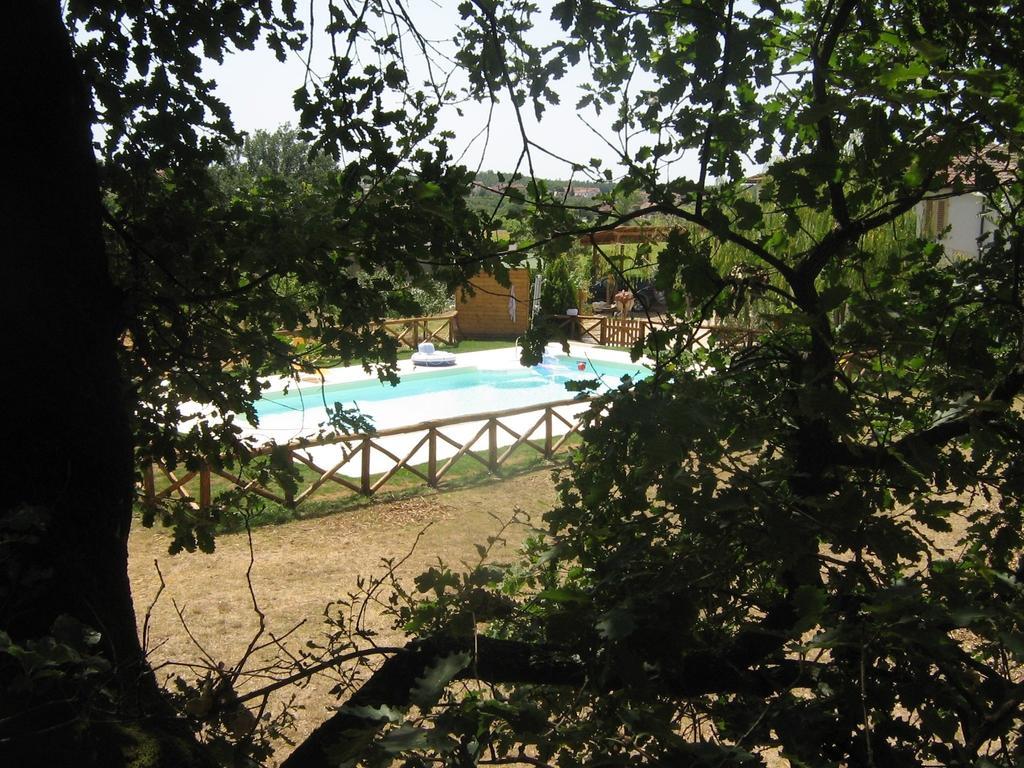Agriturismo Le Baccane วินชี ภายนอก รูปภาพ