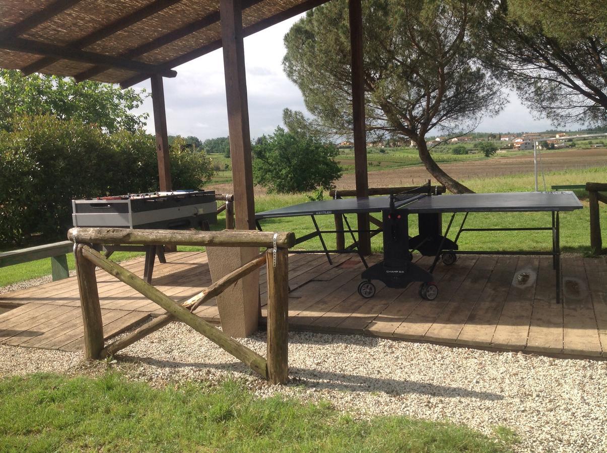 Agriturismo Le Baccane วินชี ภายนอก รูปภาพ